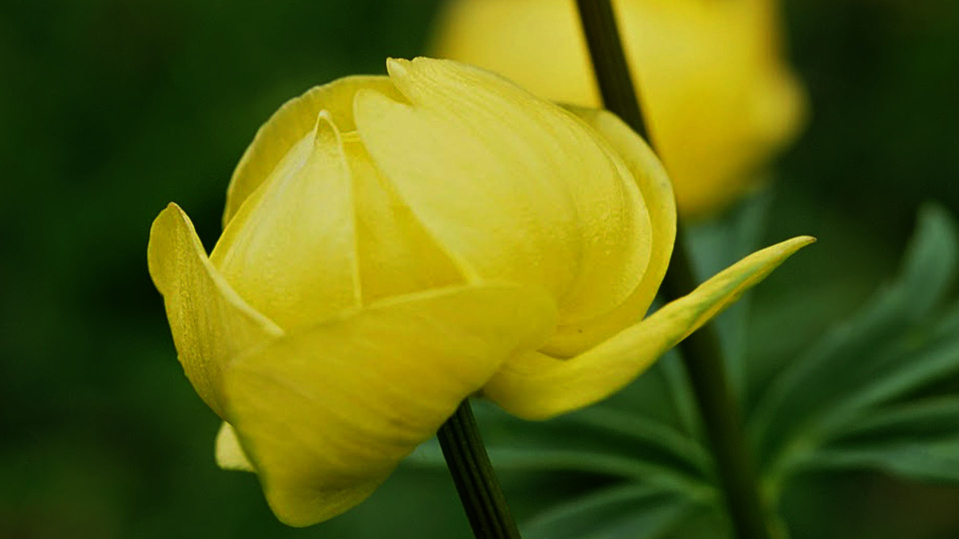 home_slider3